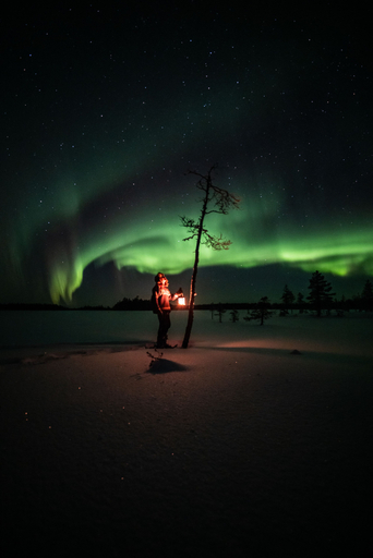 Others 4, Metsä Kolo, Lapland