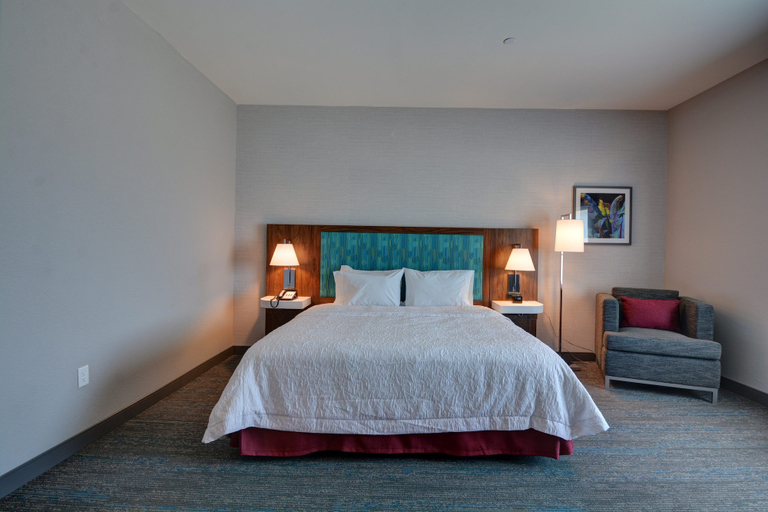 Bedroom 3, Hampton Inn & Suites Middleburg, Clay