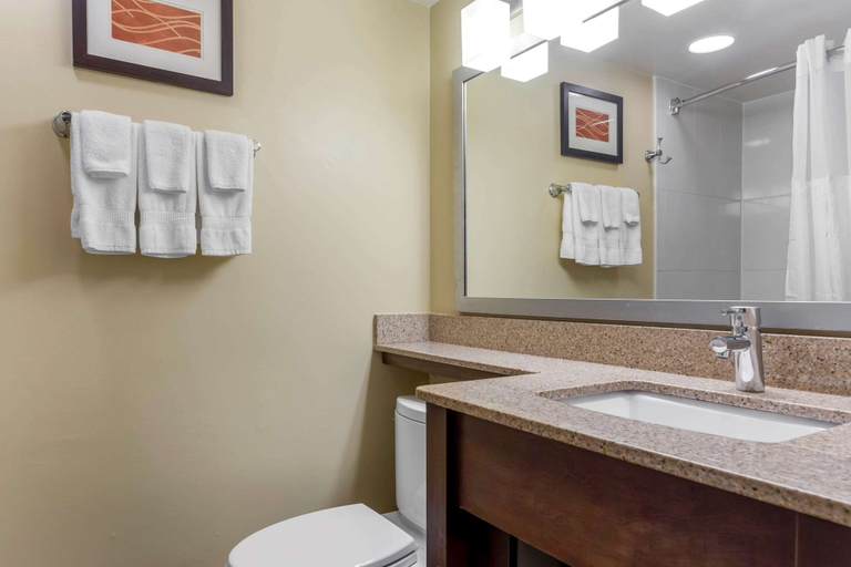 Bathroom 4, Comfort Inn Hammond I-94, Lake