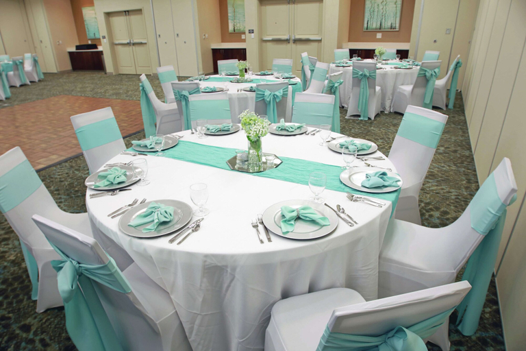 Food & Drinks 5, Hilton Garden Inn Tampa-Wesley Chapel, FL, Pasco