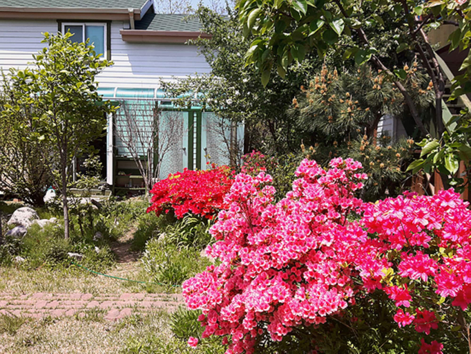 Exterior & Views, Salmon Village Pension, Yangyang