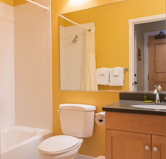 Bathroom 5, Long Trail House at Stratton Mountain Resort, Windham
