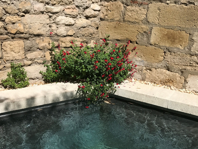 Sport & Beauty 4, N°15 Les Confidences - Chambres d'Hôtes, Vaucluse