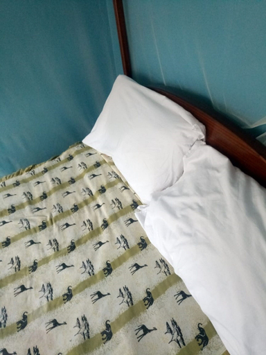 Bedroom 2, Mugoiri Lodge, Gilgil
