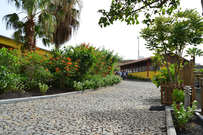 Others 4, Casas Do Sol