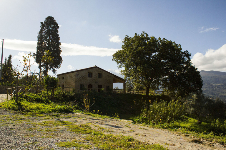 Exterior & Views 2, Le due querce, Messina
