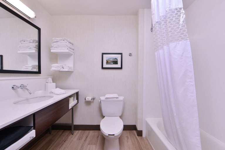 Bathroom 4, Hampton Inn & Suites Woodland-Sacramento Area, Yolo