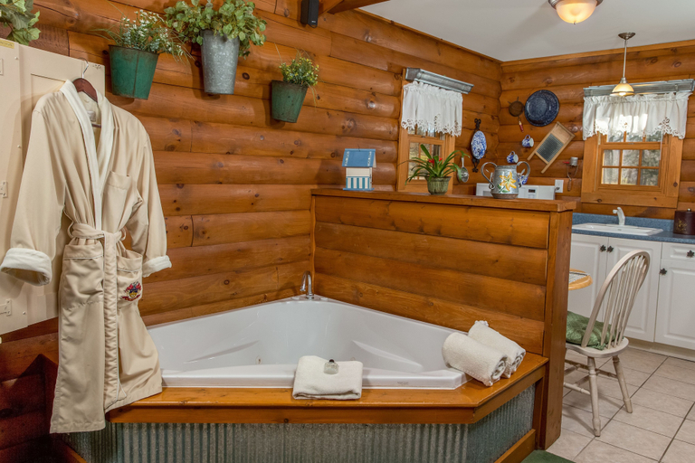 Bathroom 4, Goldmoor Inn, Jo Daviess