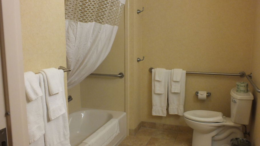 Bathroom 4, Hampton Inn & Suites Buffalo, Johnson