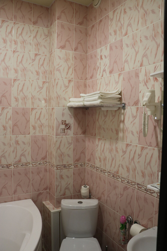 Bathroom 3, Zamok Korolya, Novousmanskiy rayon