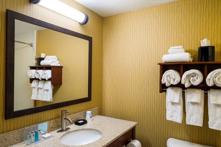 Bathroom 5, Hampton Inn Selinsgrove/Shamokin Dam, Snyder