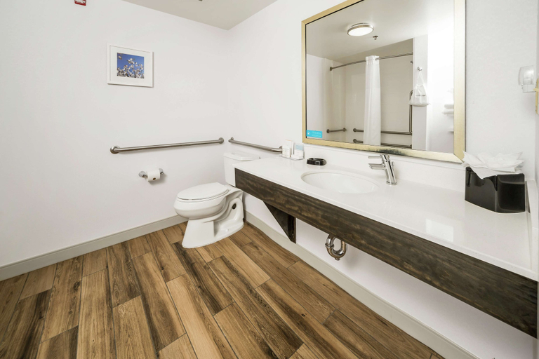 Bathroom 4, Hampton Inn by Hilton Wilson, Wilson