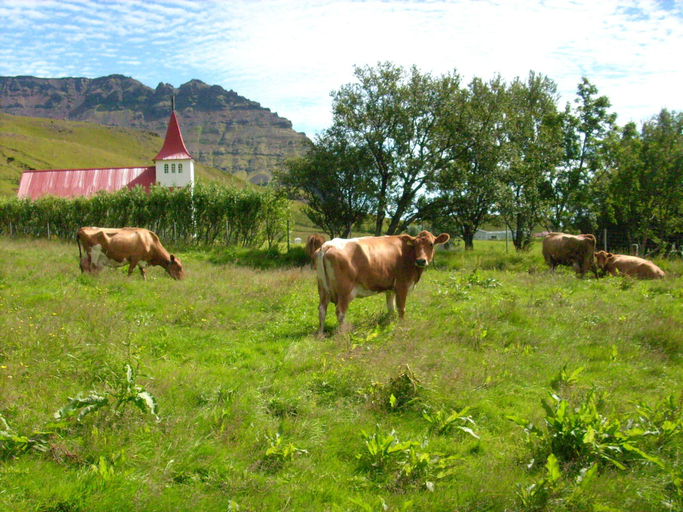 Others 5, Ásólfsskáli Cottage, Vestur-Eyjafjallahreppur