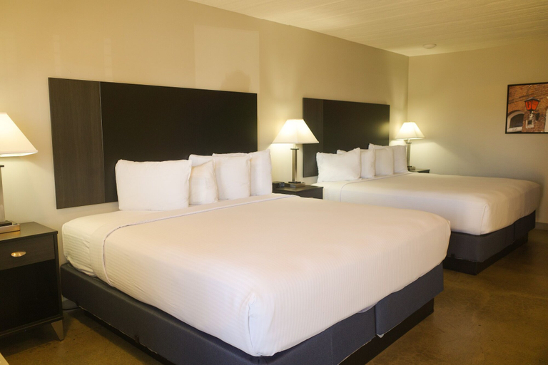 Bedroom 3, Americana Modern Hotel, Shasta