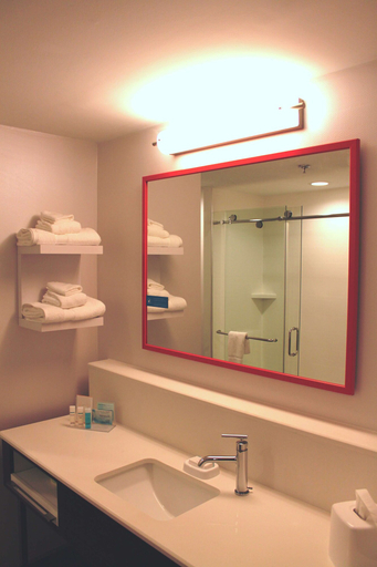 Bathroom 5, Hampton Inn by Hilton Forsyth, Monroe