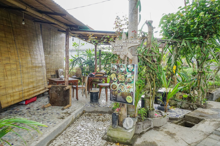 Others 5, Molecha Guest House, Gianyar
