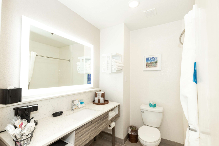 Bathroom 4, Hampton Inn Kerrville, Kerr