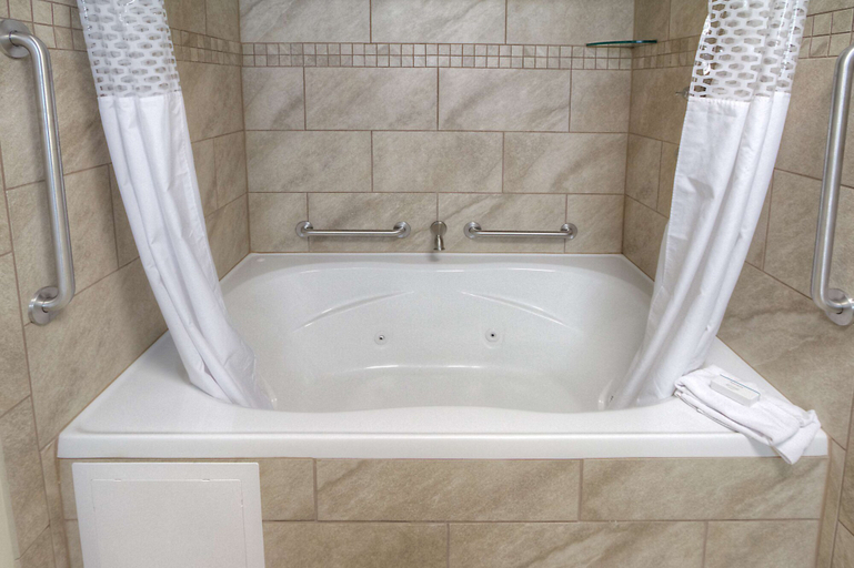 Bathroom 4, Hampton Inn Russellville, Pope
