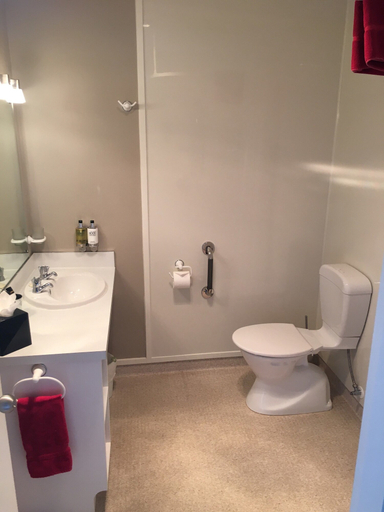 Bathroom 4, Lakefront Lodge, Southland