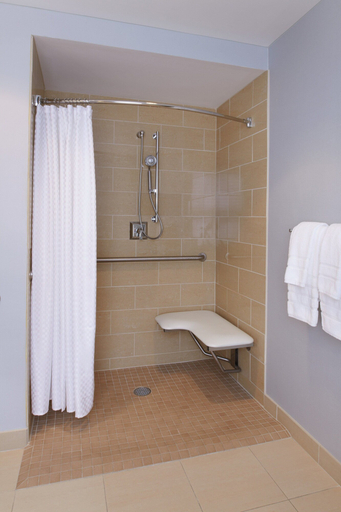 Bathroom 5, The Westin Book Cadillac Detroit, Wayne