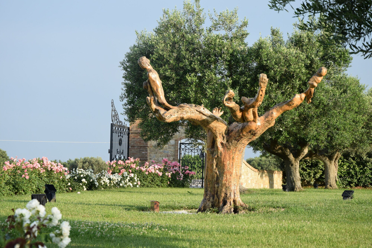 Others 5, Postiglione Country House, Macerata