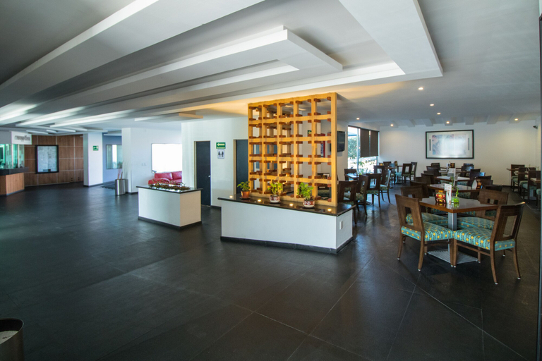 Food & Drinks 5, Hotel Atenas Plaza, Mexico City