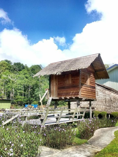 Exterior & Views 2, Borneo Tribal Village, Bau