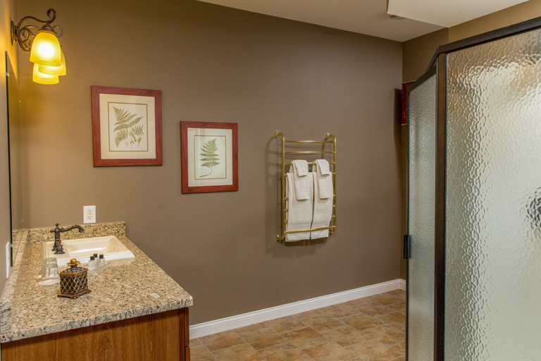 Bathroom 4, Goldmoor Inn, Jo Daviess