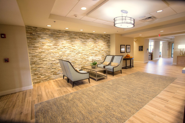Hampton Inn & Suites Braselton, Barrow