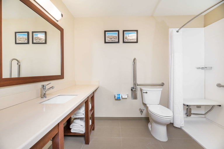 Bathroom 4, Comfort Inn Tonopah, Esmeralda