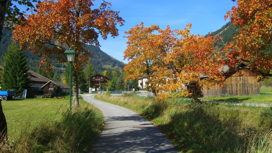 Others 4, Happy Camp, Reutte