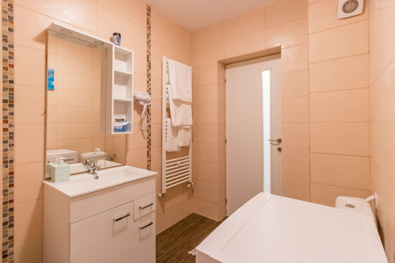 Bathroom 3, Nicobri Studios, Floresti