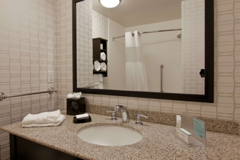 Bathroom 4, Hampton Inn & Suites Bellevue Downtown-Seattle, King