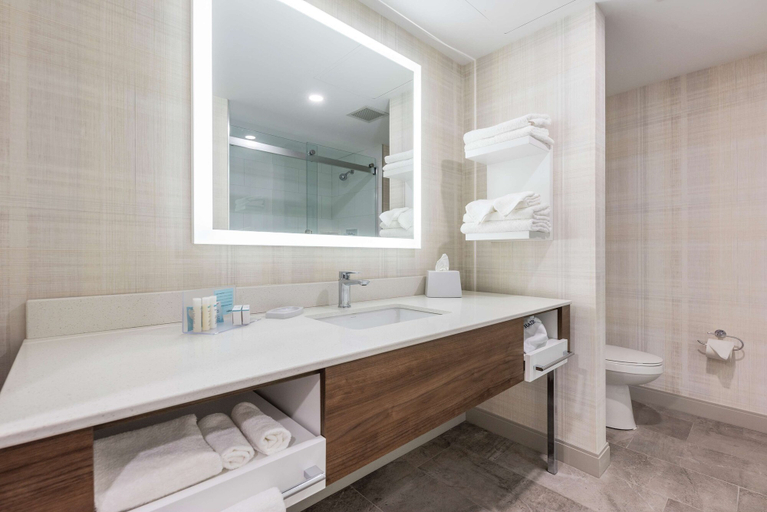 Bathroom 4, Hampton Inn & Suites Charlottetown, Queens