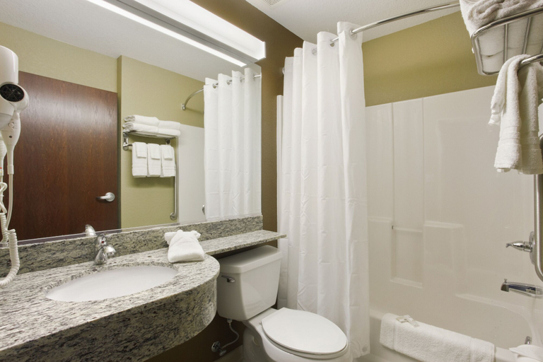 Bathroom 4, Microtel Inn & Suites by Wyndham Dickinson, Stark