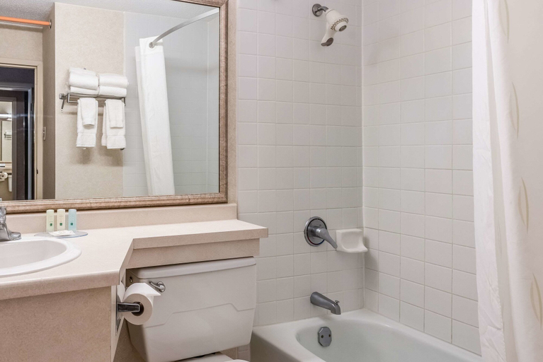 Bathroom 4, Quality Inn & Suites Brainerd, Crow Wing