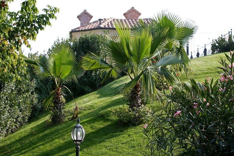 Others 2, Hotel Villa Picena, Ascoli Piceno