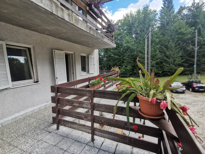 Exterior & Views 2, Hostel pod Voglom, Bohinj