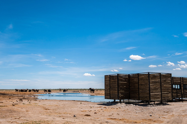 Exterior & Views 2, Etosha King Nehale, Omuthiyagwipundi
