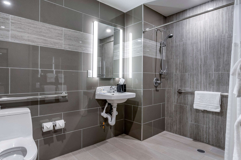 Bathroom 4, Comfort Inn JFK Airport, New York