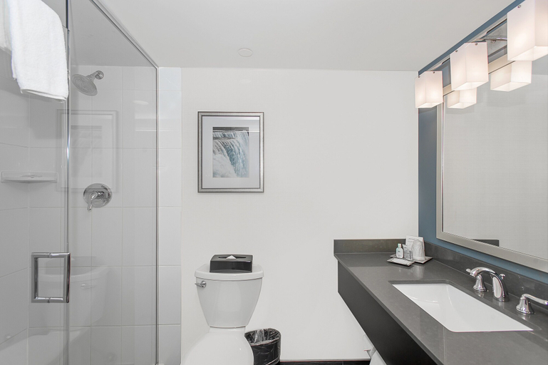 Bathroom 4, Wyndham Garden Niagara Falls Fallsview, Niagara