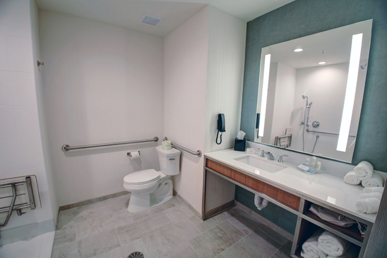 Bathroom 4, Hilton Garden Inn Tampa-Wesley Chapel, FL, Pasco