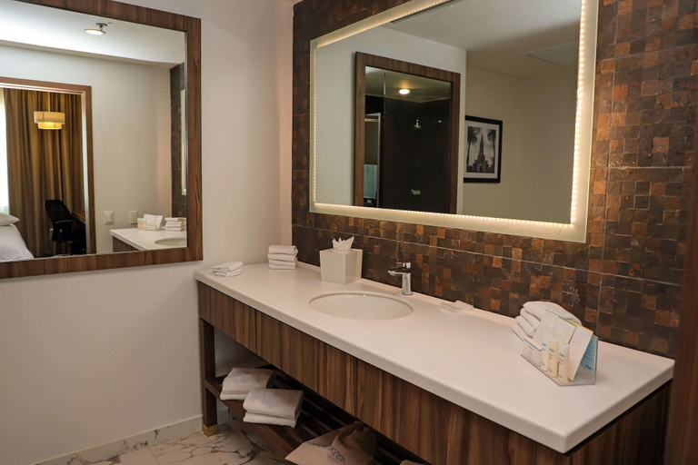 Bathroom 4, Hampton Inn by Hilton Irapuato, Irapuato