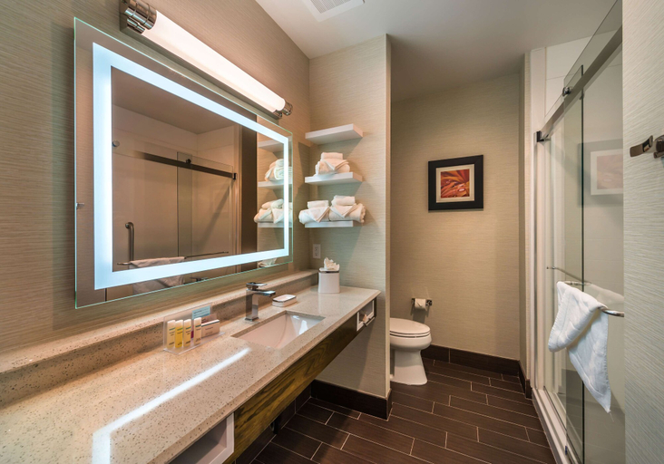 Bathroom 4, Hampton Inn & Suites Reno West, Washoe