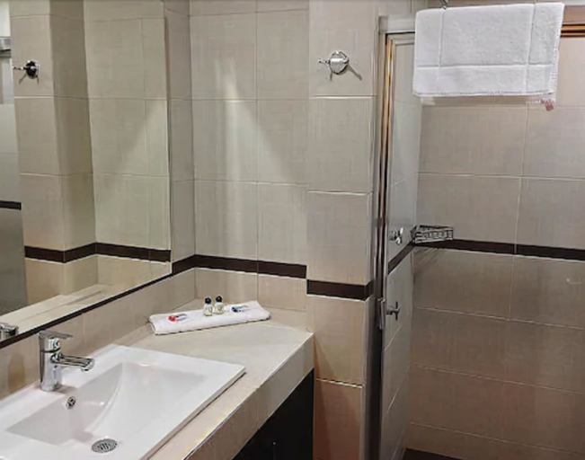 Bathroom 5, Hotel Victoria Inn, San Juan del Río