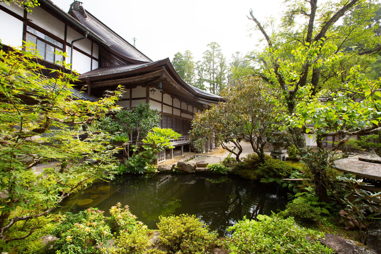 Exterior & Views 2, Koyasan Saizenin, Kōya