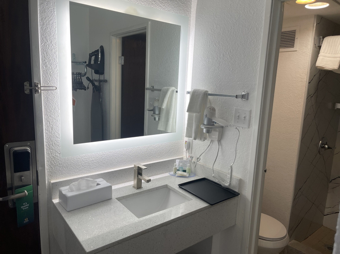 Bathroom 4, Quality Inn & Suites Sulphur Springs, Hopkins