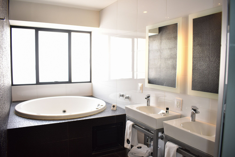 Bathroom 4, Perla Central Hotel, Guadalajara