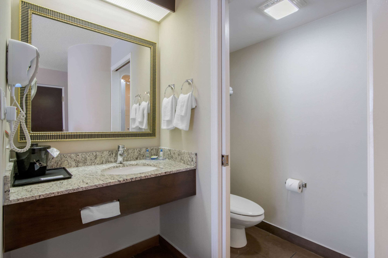 Bathroom 3, Sleep Inn Sault Ste. Marie, Algoma