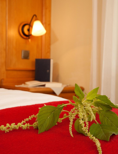 Bedroom 4, Landhotel Bayerwald, Deggendorf